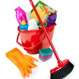 Toxins in the Home